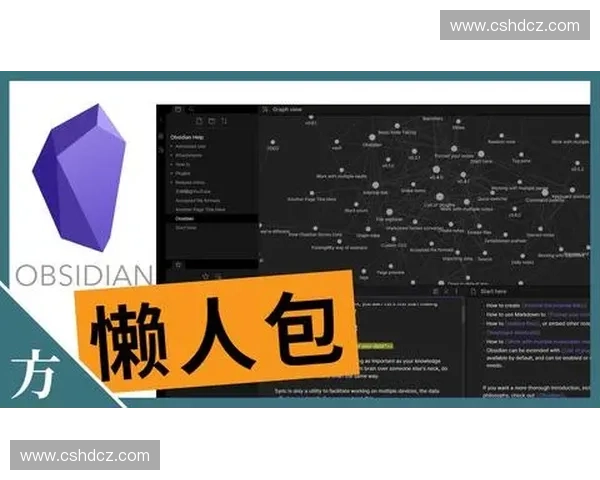 快速抢攻策略解析与实战应用全方位指南